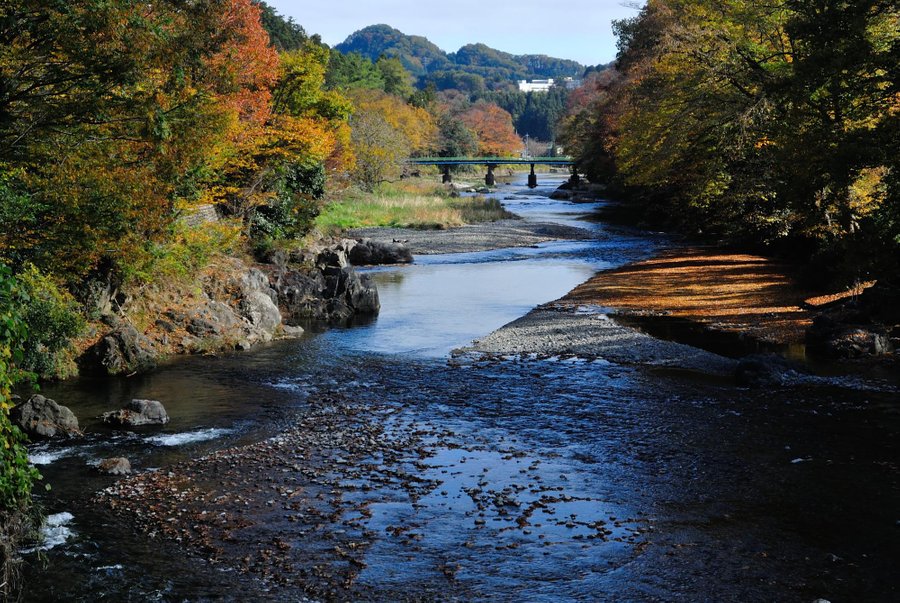 Wonderful Nature Village Campground Reviews Akiruno Japan Tokyo Prefecture Tripadvisor