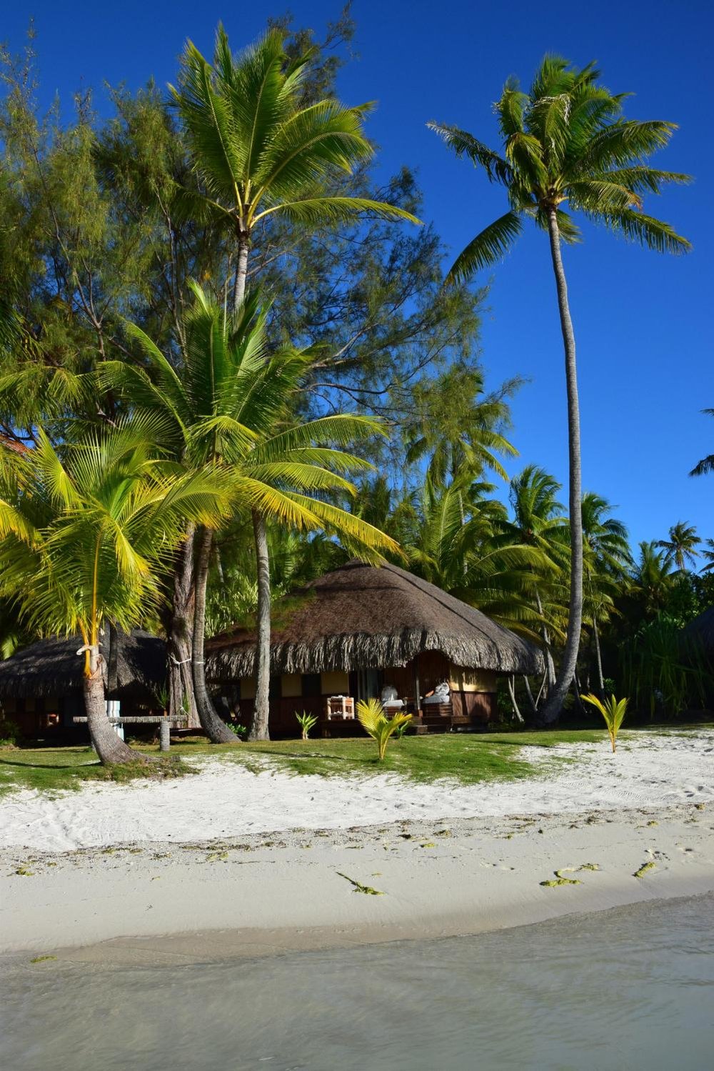 BORA BORA EDEN BEACH HOTEL tarifs 2025 et 21 avis