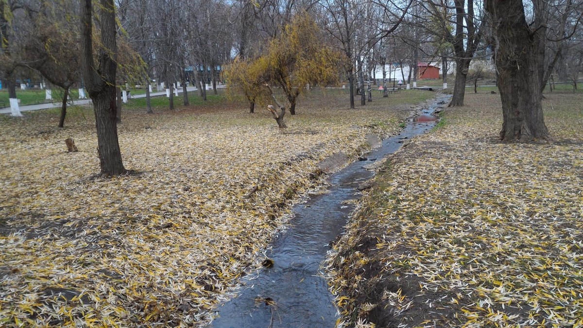 Парк культуры и отдыха им. Октября, Ростов-на-Дону: лучшие советы перед  посещением - Tripadvisor