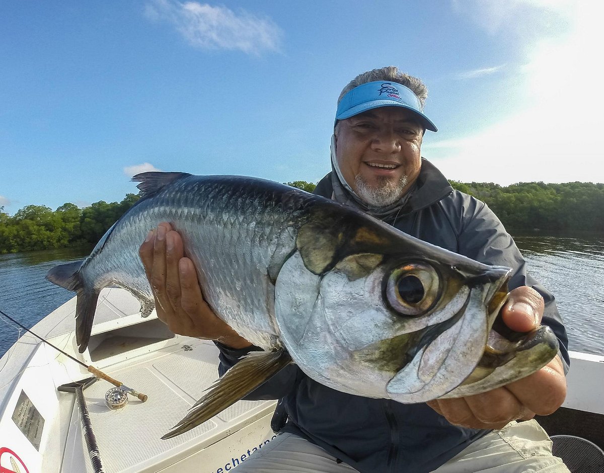 Campeche Tarpon  Fly Fishing Mexico