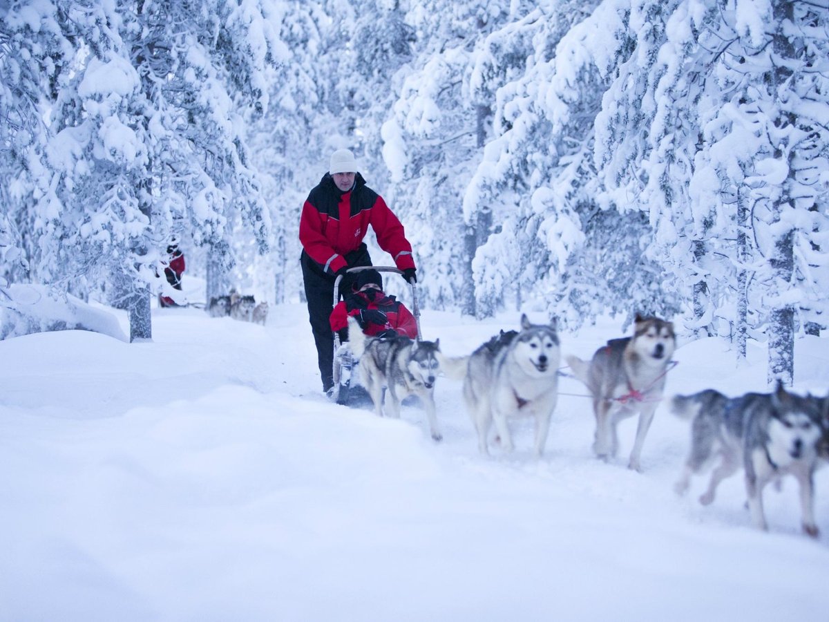 Lapland Safaris Luosto, Луосто: лучшие советы перед посещением ...