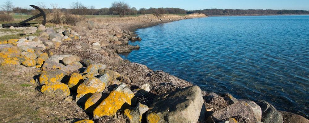 Kysten ved Stubberup/Nysted