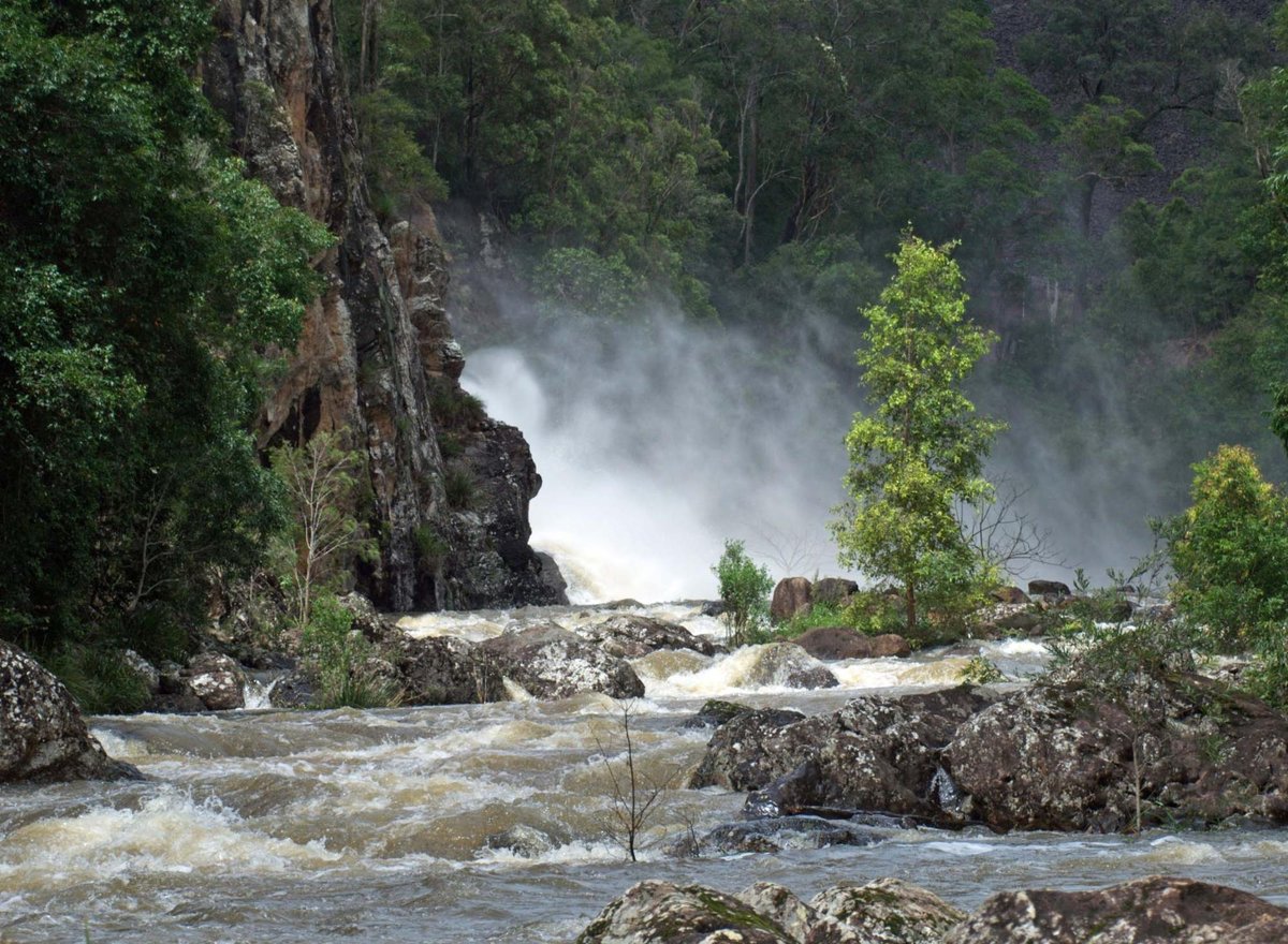 Sunshine Coast Great Walk (Montville) All You Need to Know