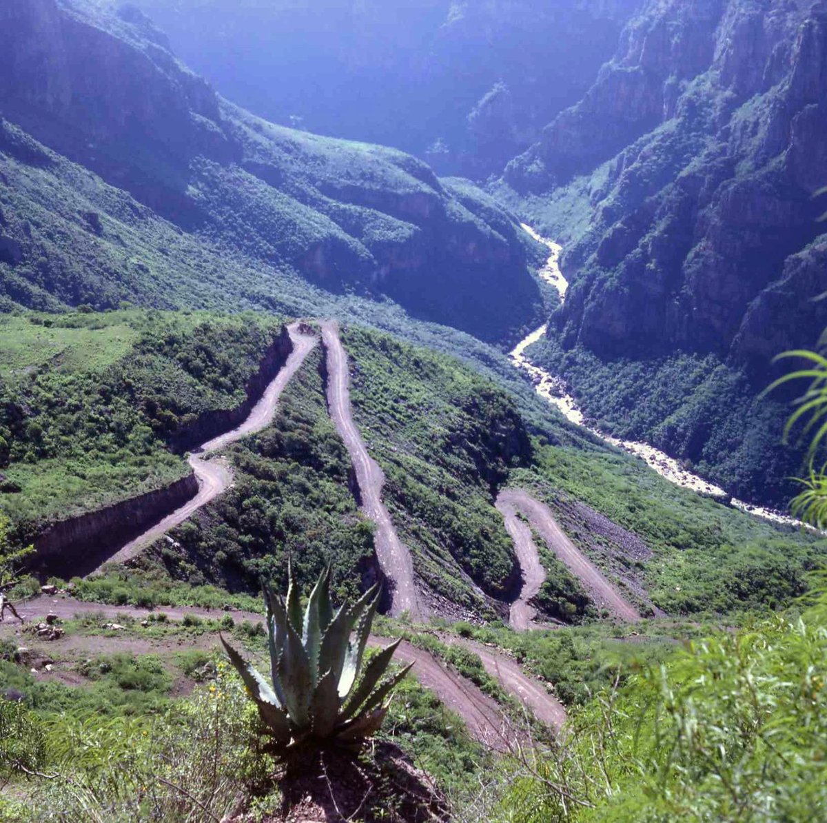 Batopilas Canyon, Коппер-Каньон: лучшие советы перед посещением -  Tripadvisor