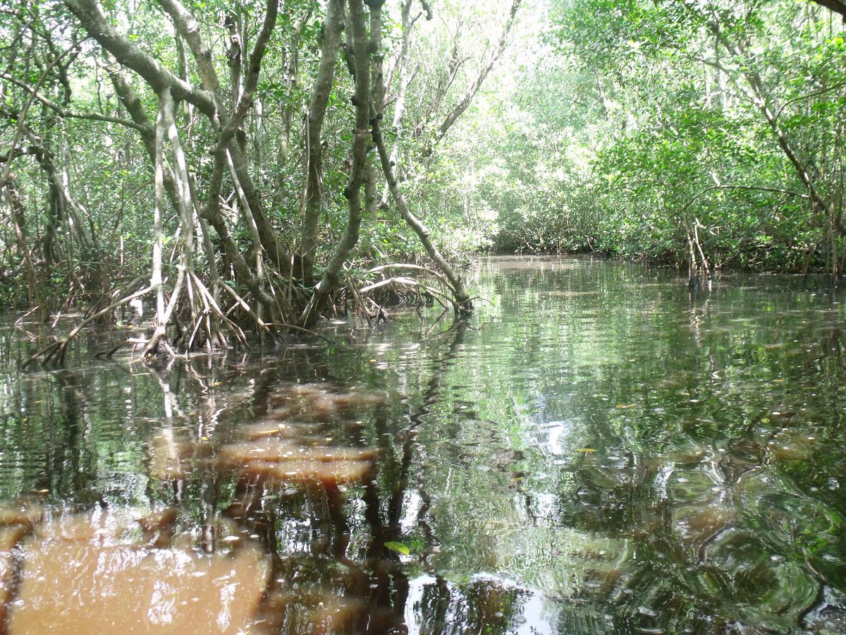 GLADES HAVEN MARINA (Everglades City) - All You Need to Know BEFORE You Go