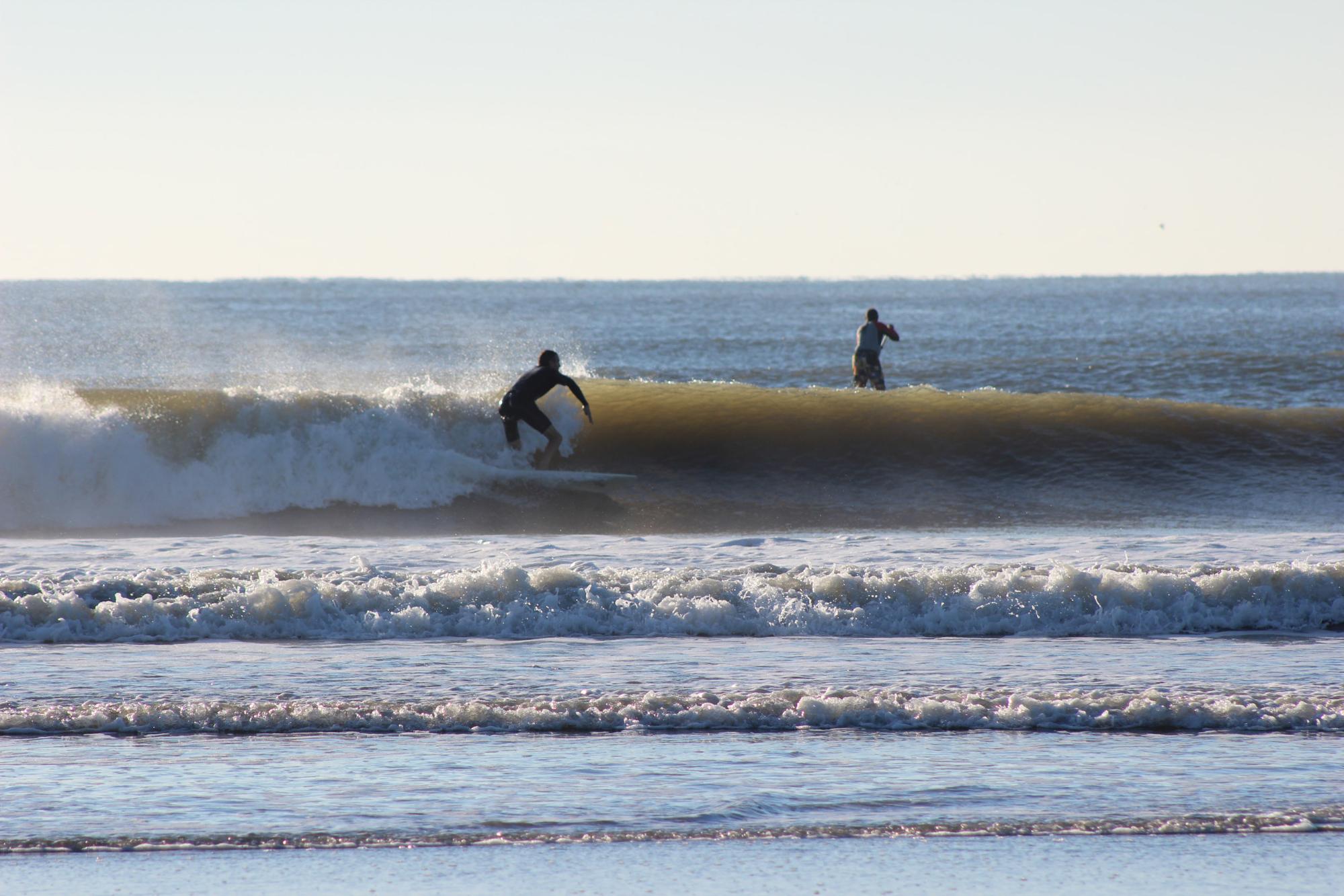 Odyssey surf shop top
