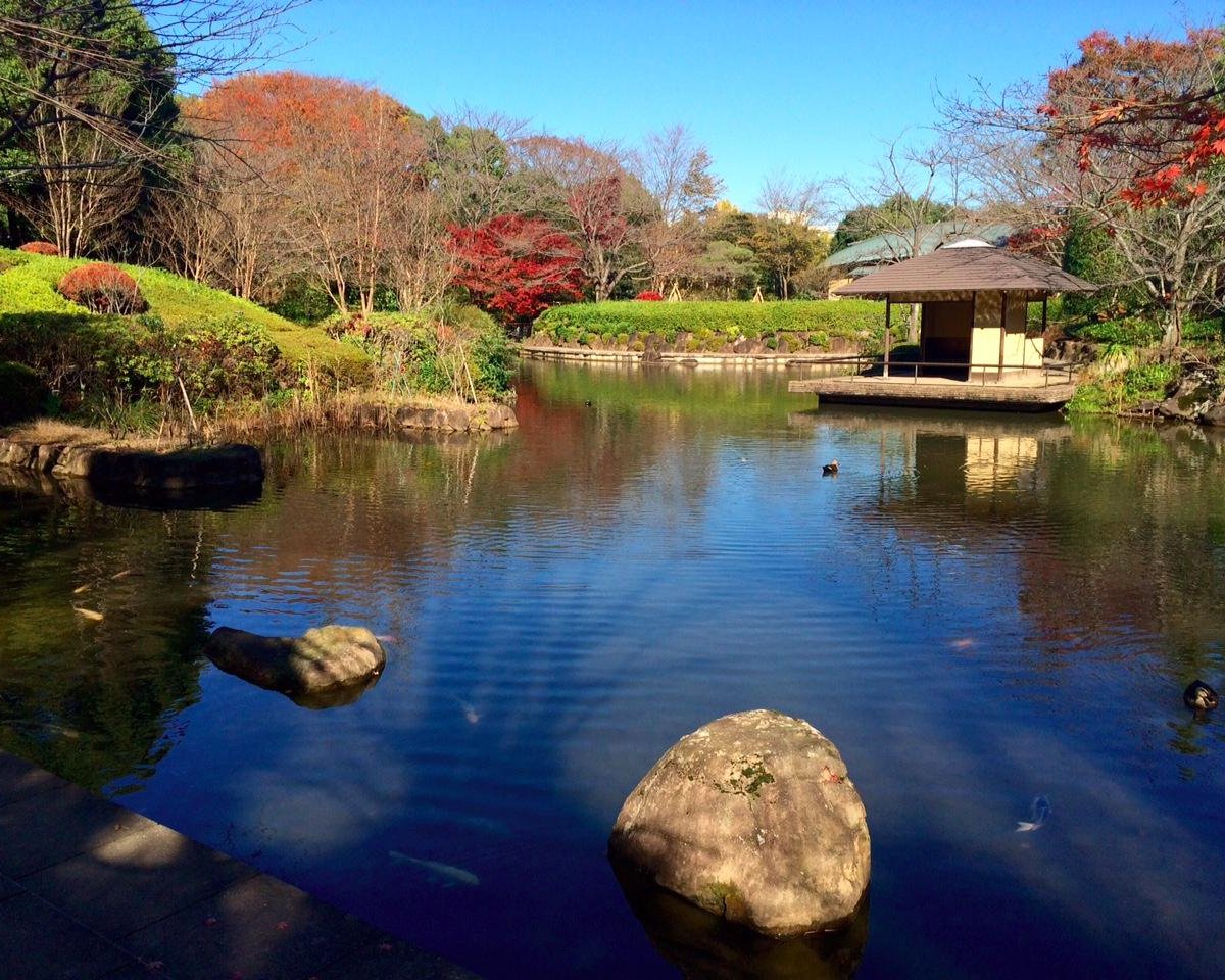 Chiba Kashiwanoha Park, Касива: лучшие советы перед посещением - Tripadvisor