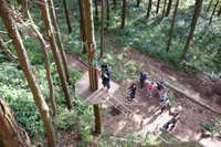 Forest Adventure Hakone Hakone Machi 21 All You Need To Know Before You Go With Photos Tripadvisor