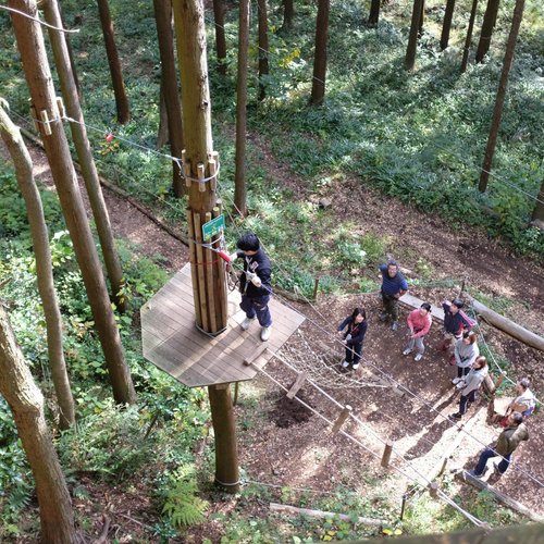 The 10 Best Other Outdoor Activities In Kanagawa Prefecture Kanto