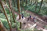 Forest Adventure Hakone Hakone Machi 21 All You Need To Know Before You Go With Photos Tripadvisor Forest Adventure Hakone Hakone Machi 21 All You Need To Know Before You Go With Photos Tripadvisor