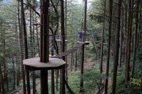 Forest Adventure Hakone Hakone Machi 21 All You Need To Know Before You Go With Photos Tripadvisor