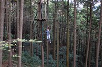 Forest Adventure Hakone Hakone Machi 21 All You Need To Know Before You Go With Photos Tripadvisor Forest Adventure Hakone Hakone Machi 21 All You Need To Know Before You Go With Photos Tripadvisor