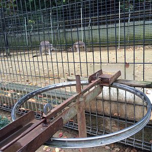 近畿地方の動物園 水族館 ベスト10 トリップアドバイザー