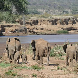 pollmans tours and safaris email address