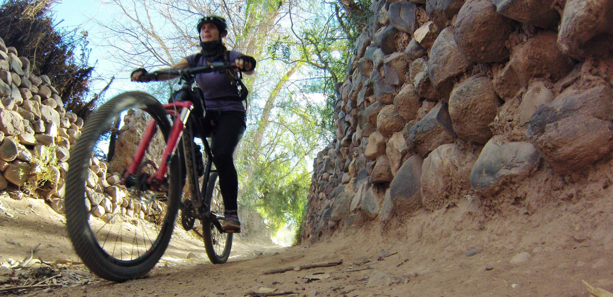 Bicicleteria mexico 2024 y jujuy