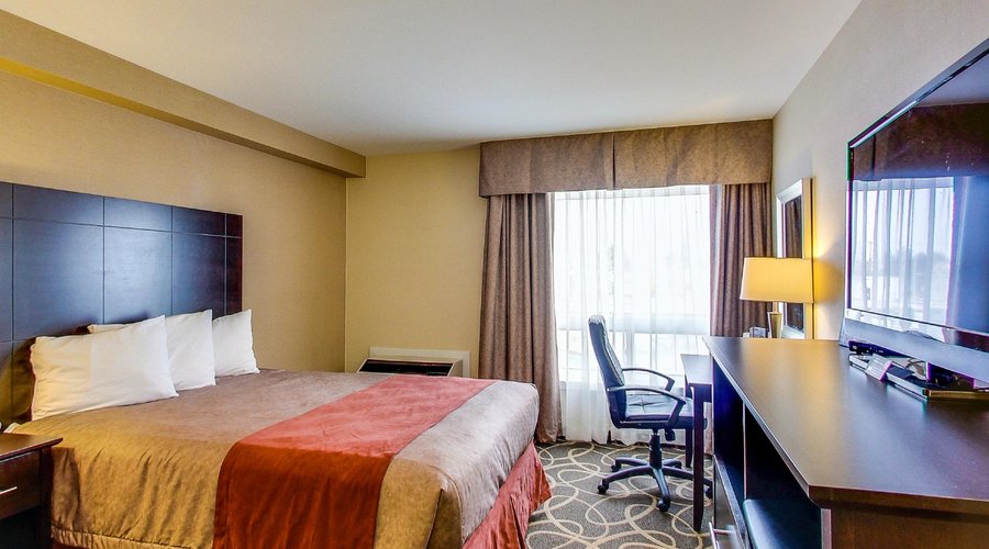 Newly Renovated Guest Room