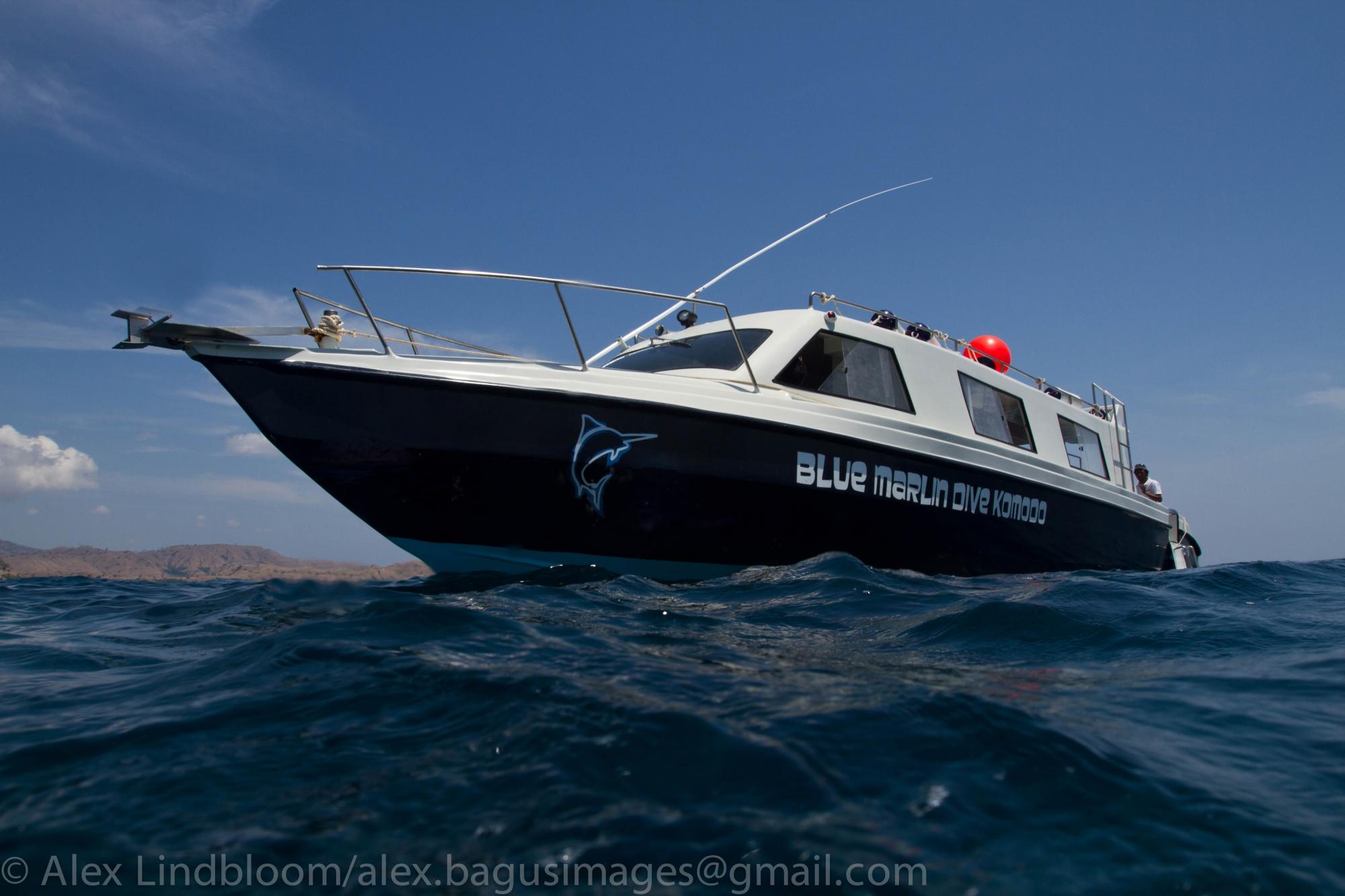 BLUE MARLIN DIVE KOMODO (Labuan Bajo): Tutto Quello Che C'è Da Sapere