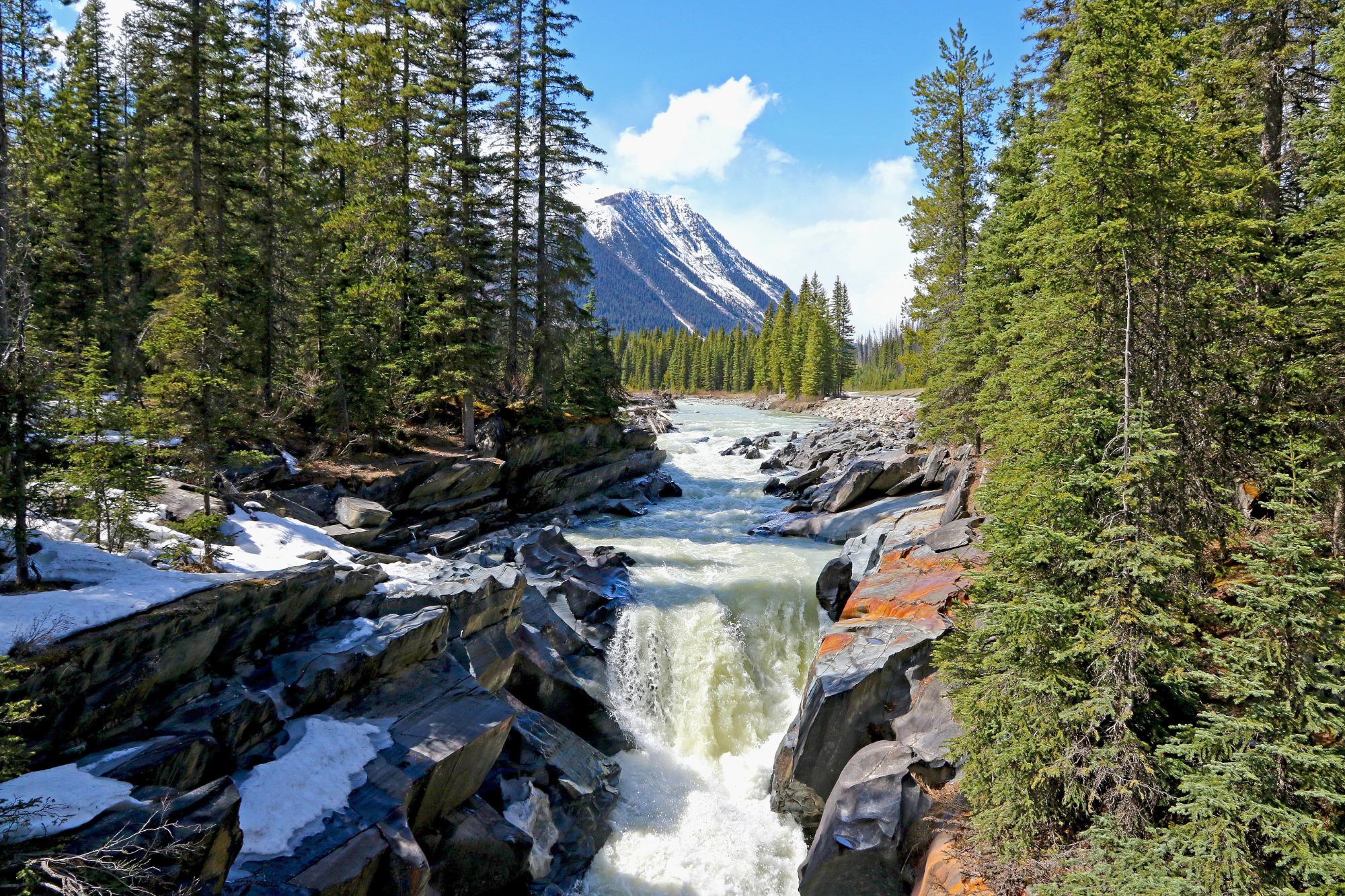 Numa sale falls hike