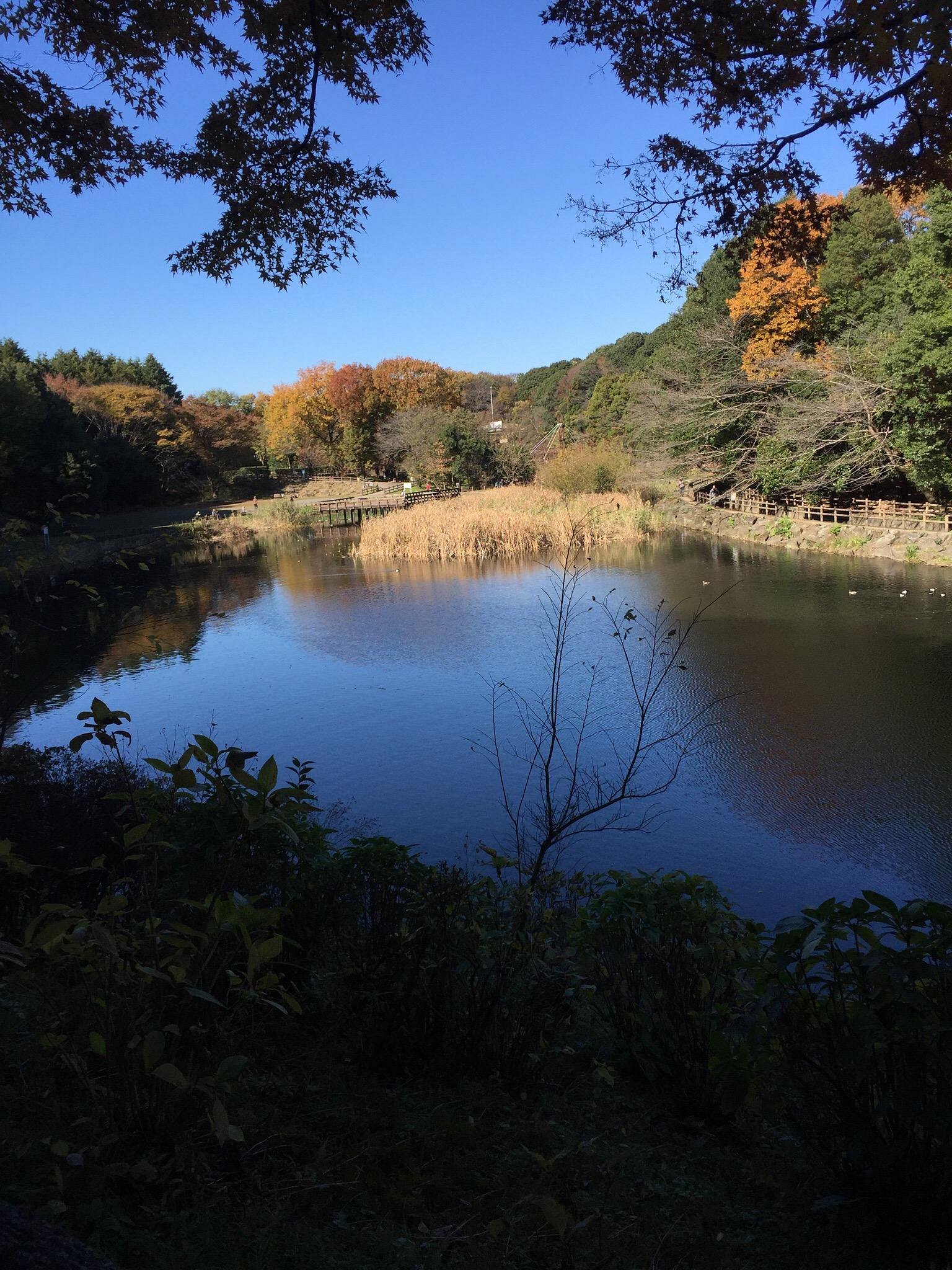 tancho-ryokan-reviews-photos-yamato-japan-tripadvisor