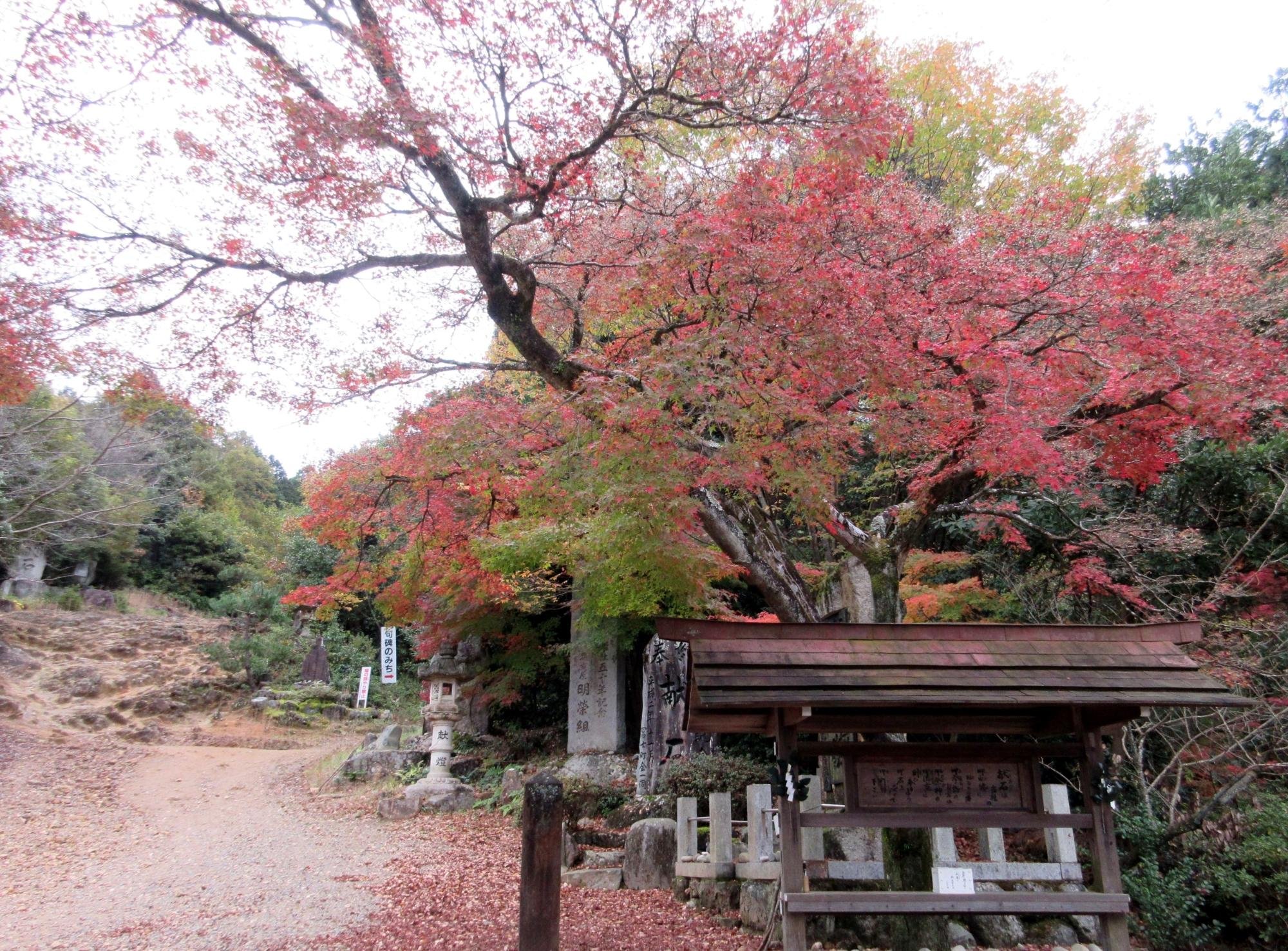 尾張富士大宮浅間神社 口コミ・写真・地図・情報 - トリップアドバイザー