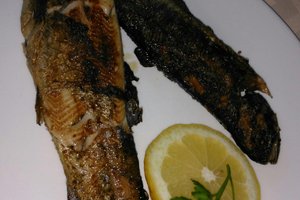 Comida