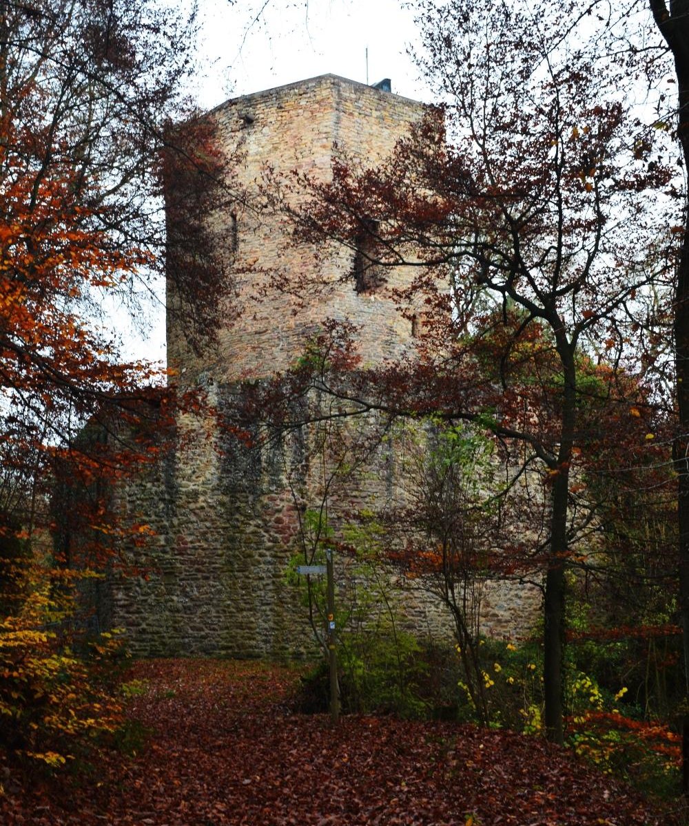 Burg Alt Wolfstein Aktuelle 2021 Lohnt es sich? (Mit fotos