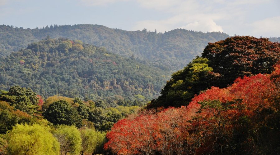 View from Ara Pond　Wakakusayama