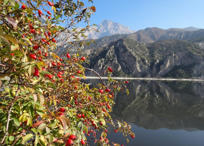 Водохранилище