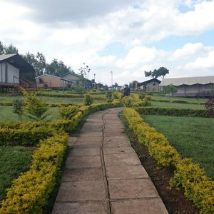 Chemi Chemi Tented Camp