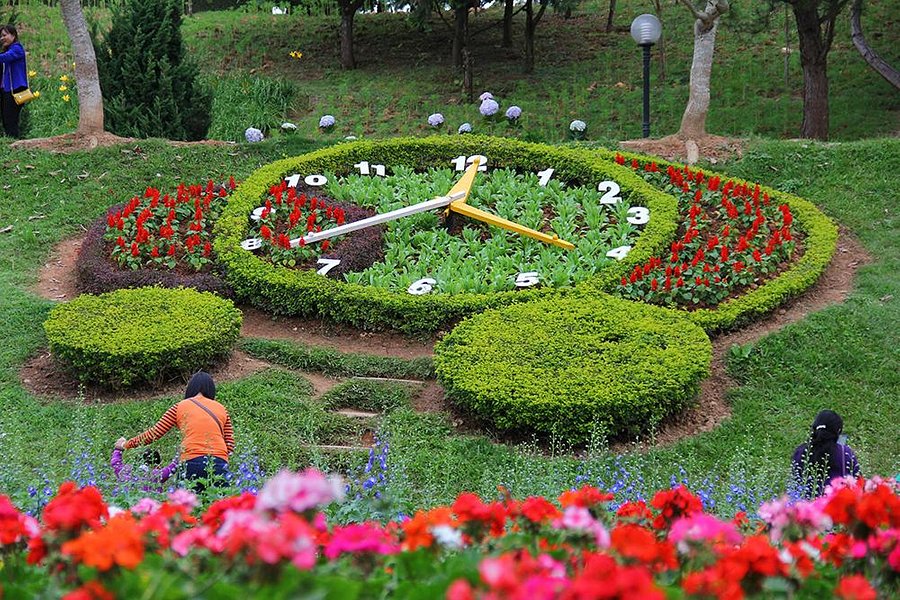 Dalat Flower Park image