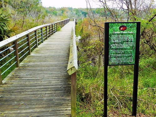 Willow Pond Nature Trail, Florida - 145 Reviews, Map