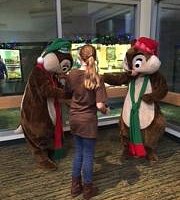Chip N Dale