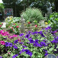 spring flowers