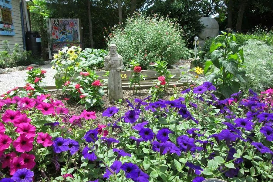 Main St. Community Garden image