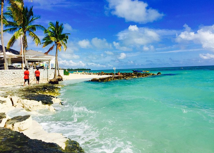 Grand Bahama Island 2024 Best Places to Visit Tripadvisor