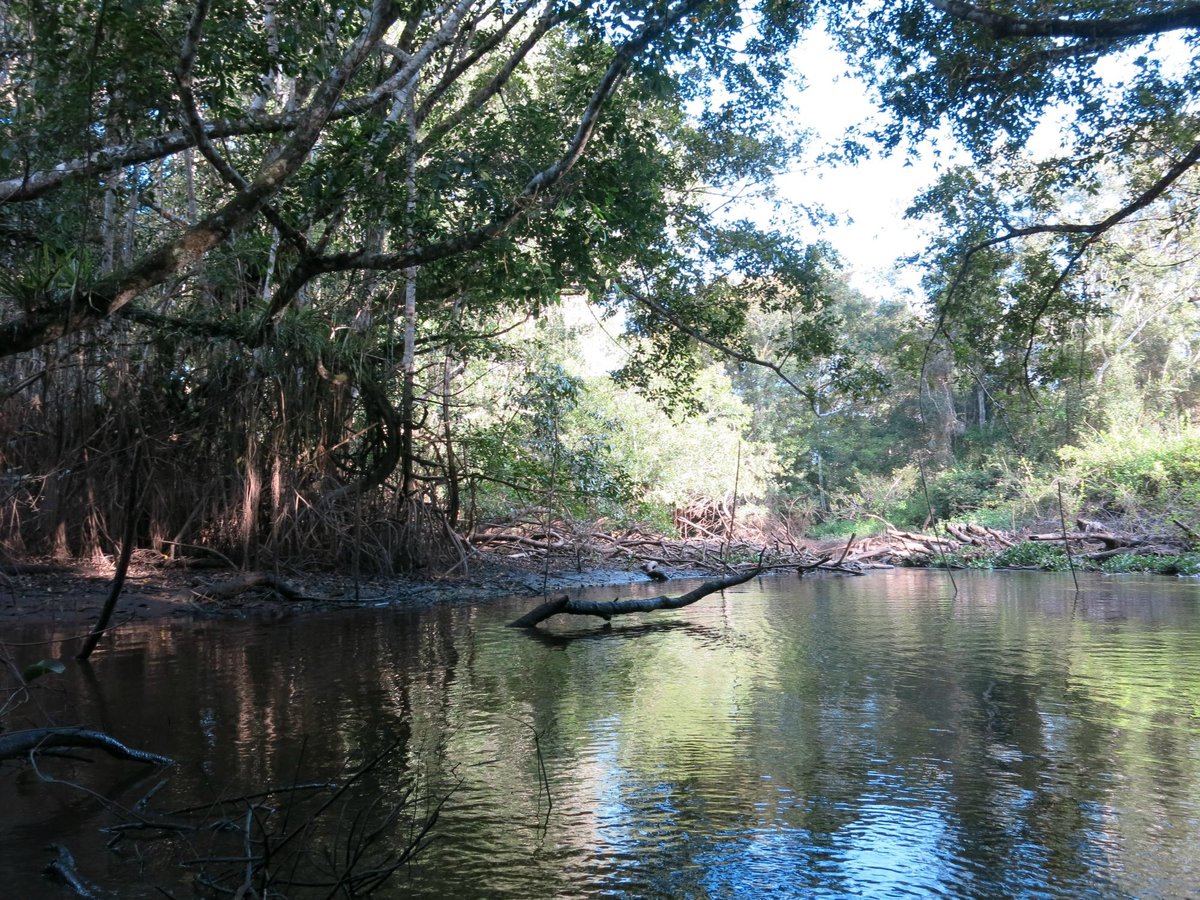 La Tingana Refugio Natural (Moyobamba) - 2022 All You Need to Know ...