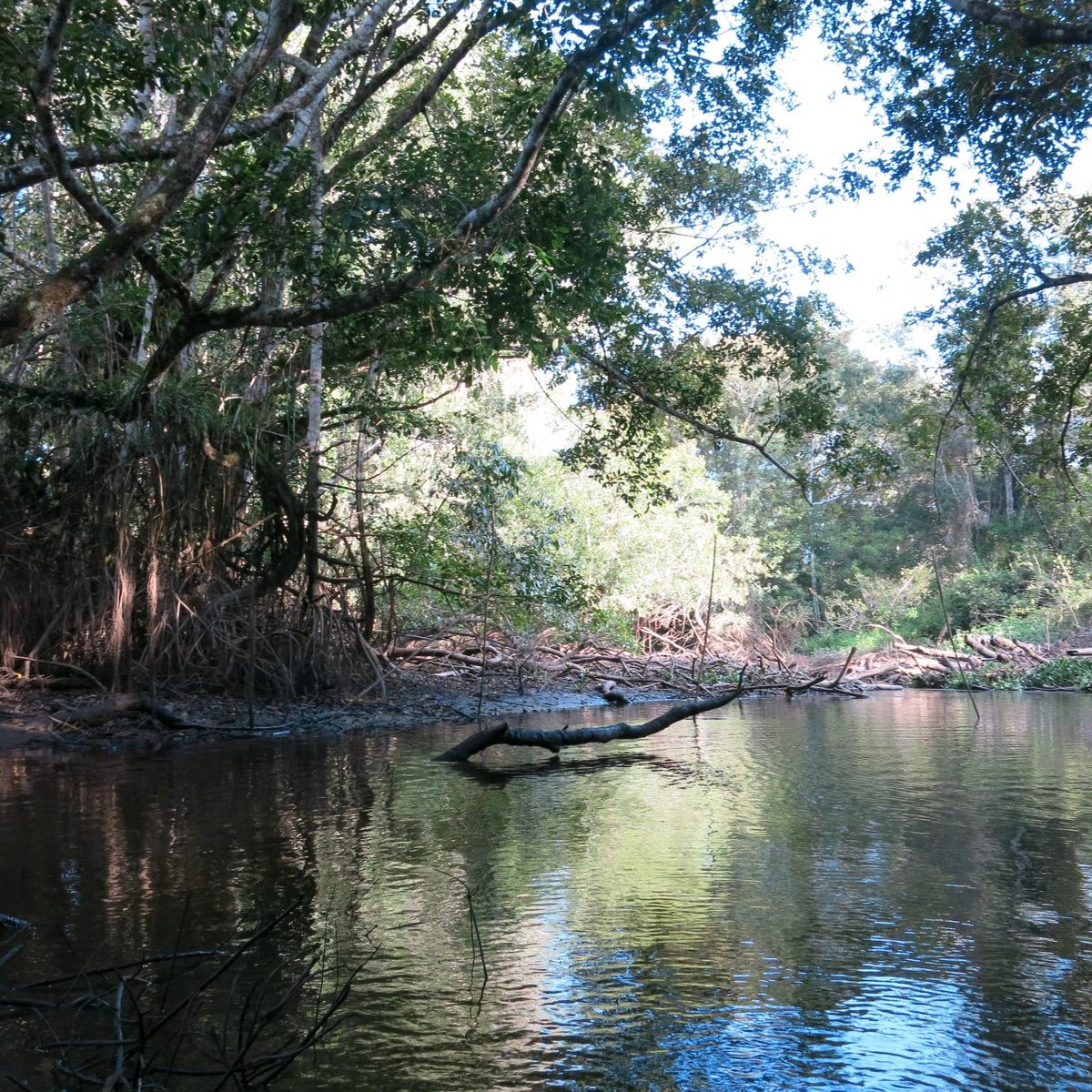 La Tingana Refugio Natural (Moyobamba): All You Need to Know