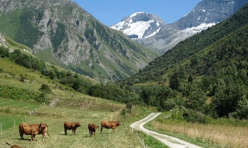 L'accès depuis le Laisonnay