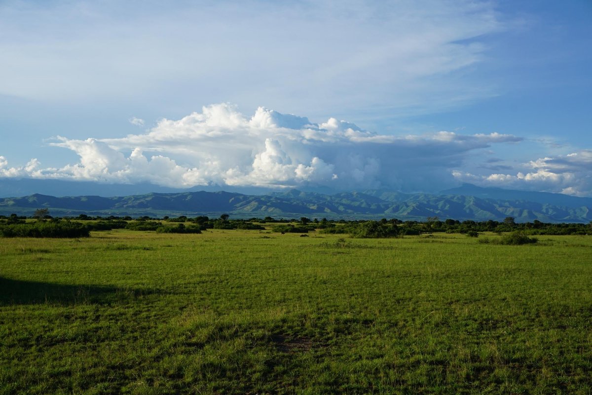 Kyambura Game Reserve (Kyambura Gorge), Национальный парк Королевы  Елизаветы: лучшие советы перед посещением - Tripadvisor