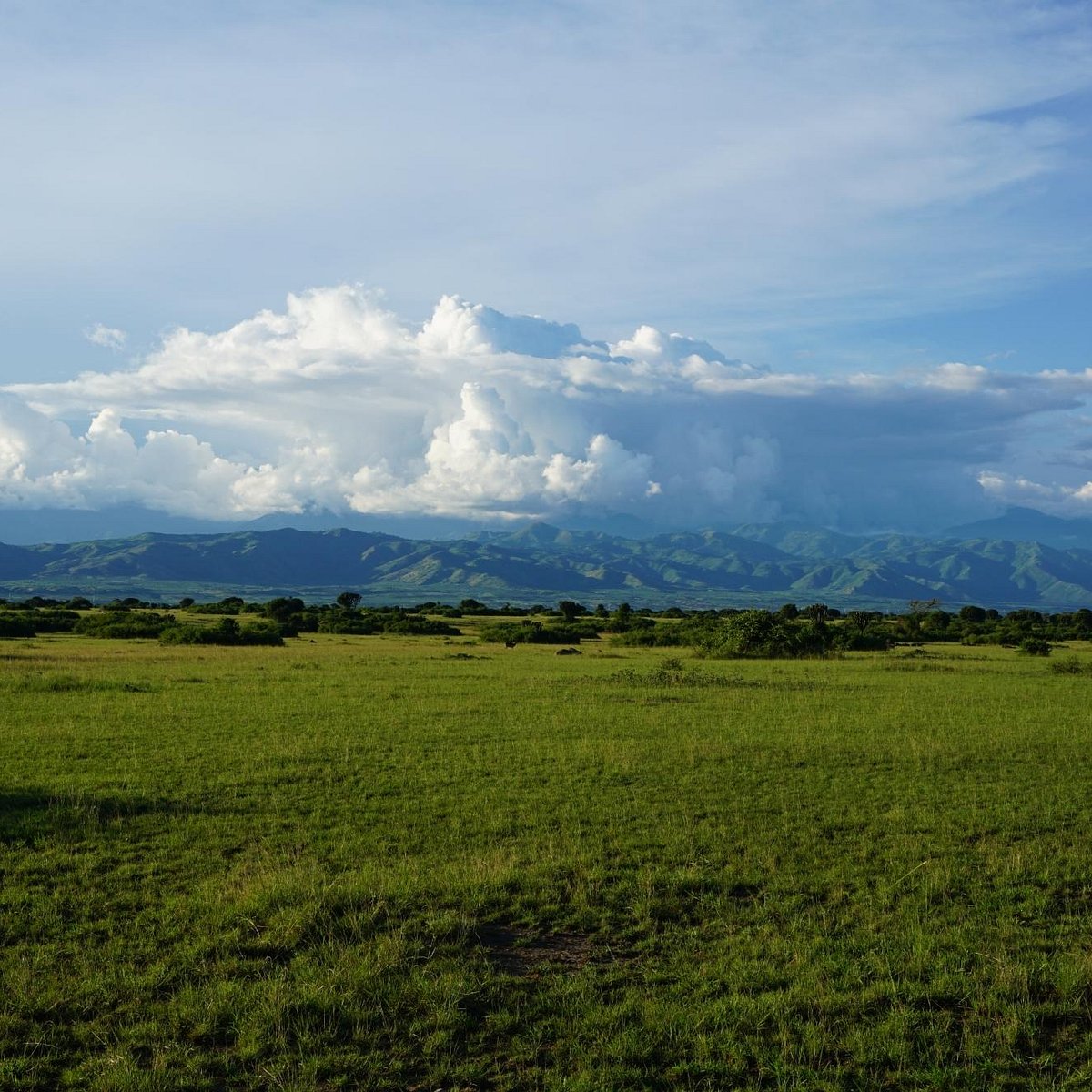 Kyambura Game Reserve (Kyambura Gorge), Национальный парк Королевы  Елизаветы: лучшие советы перед посещением - Tripadvisor