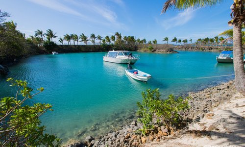 Beach at the Wananavu Beach Resort