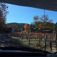Driveway to Mosby Winery