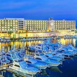 Breathless Cabo San Lucas Resort &amp; Spa, hotel in Cabo San Lucas