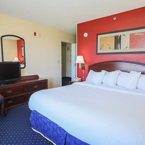 King Suite Room - Bedroom