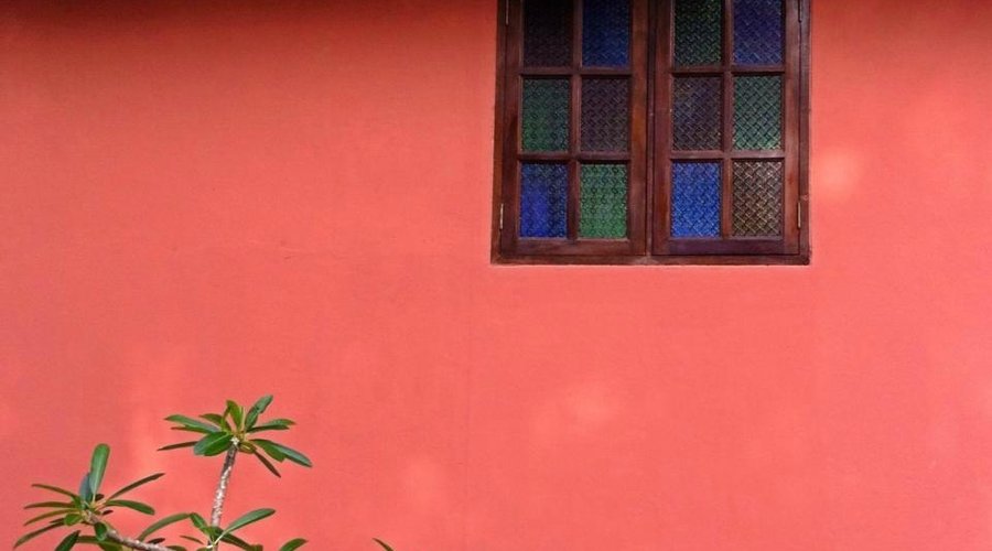 Color of the wall