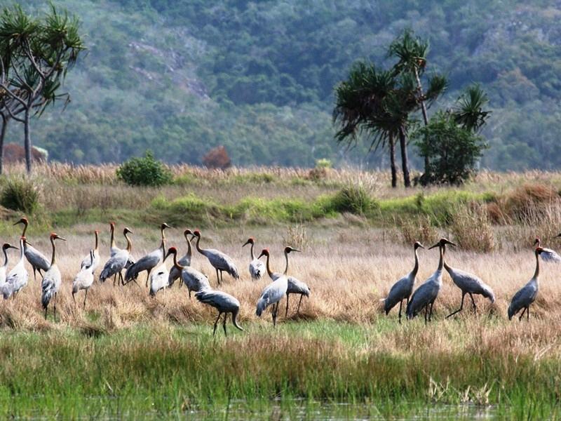 Lake Paluma (Townsville) - Alles Wat U Moet Weten VOORDAT Je Gaat (met ...