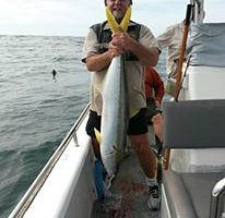 bronze whaler shark - Picture of Duvan Fishing Charters, Jeffreys Bay -  Tripadvisor