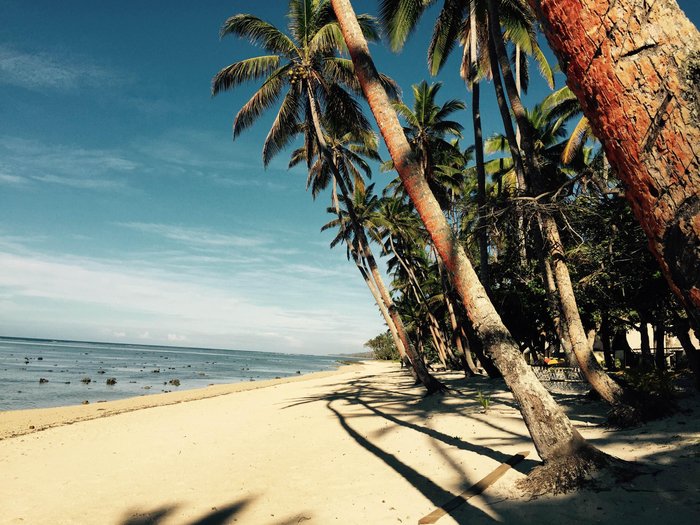 Tambua Sands Beach Resort Snorkelling: Pictures & Reviews - Tripadvisor