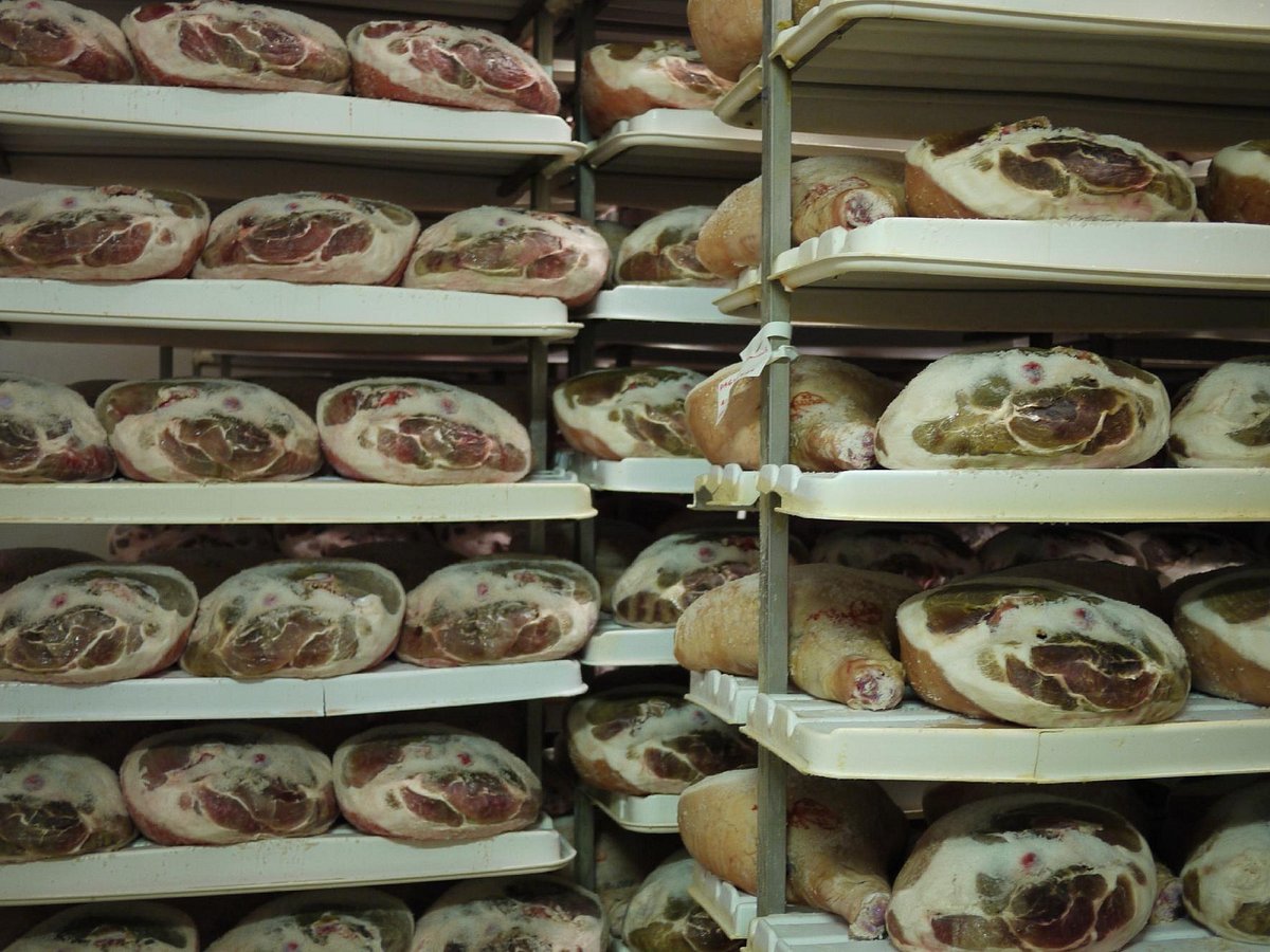 Our family with in the cheese storage room - Picture of Emilia Delizia Food  Tours, Bologna - Tripadvisor