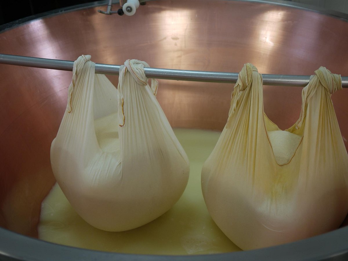 Our family with in the cheese storage room - Picture of Emilia Delizia Food  Tours, Bologna - Tripadvisor